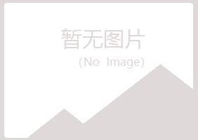 鹤岗南山灵槐服务有限公司